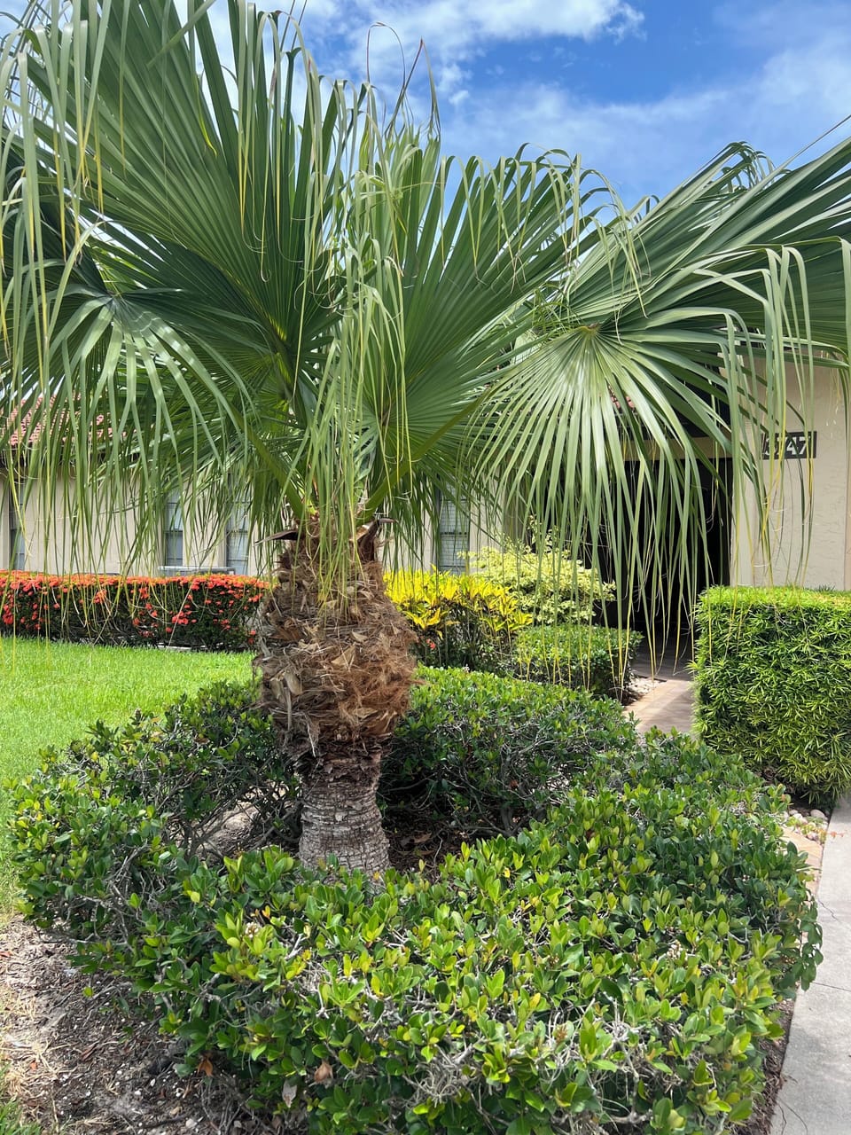 Entrance to Siesta Villa