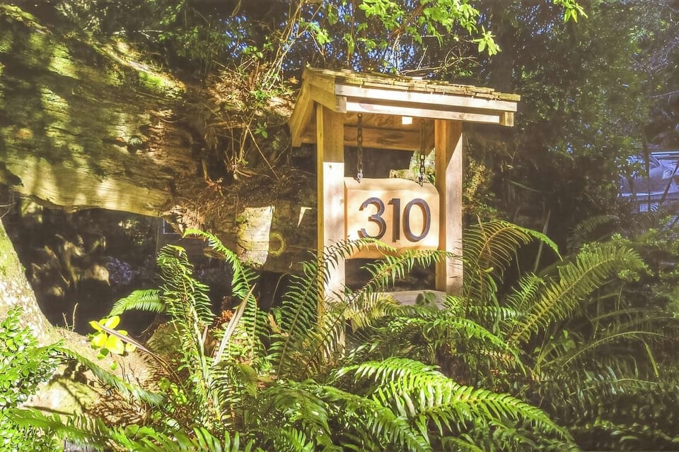 Tucked into lush coastal greenery—your peaceful retreat begins here at #310.