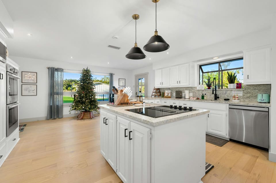Kitchen – microwave, double wall ovens, dishwasher, induction stove