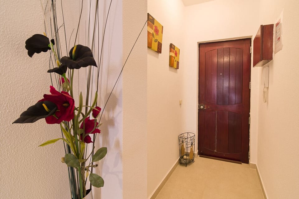 A narrow hallway leads from the front door into the living room.