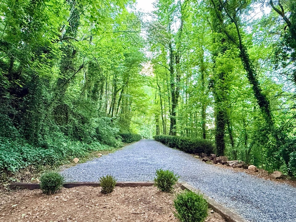 Tucked away in the trees, your escape begins the moment you pull in.