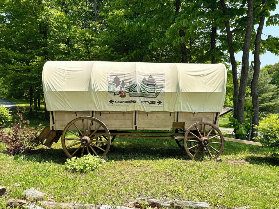 Rustic covered wagon display in a peaceful, tree-lined setting