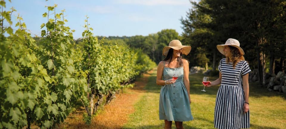 About 2 miles away | Vineyard views, tastings, events, and great live music 
