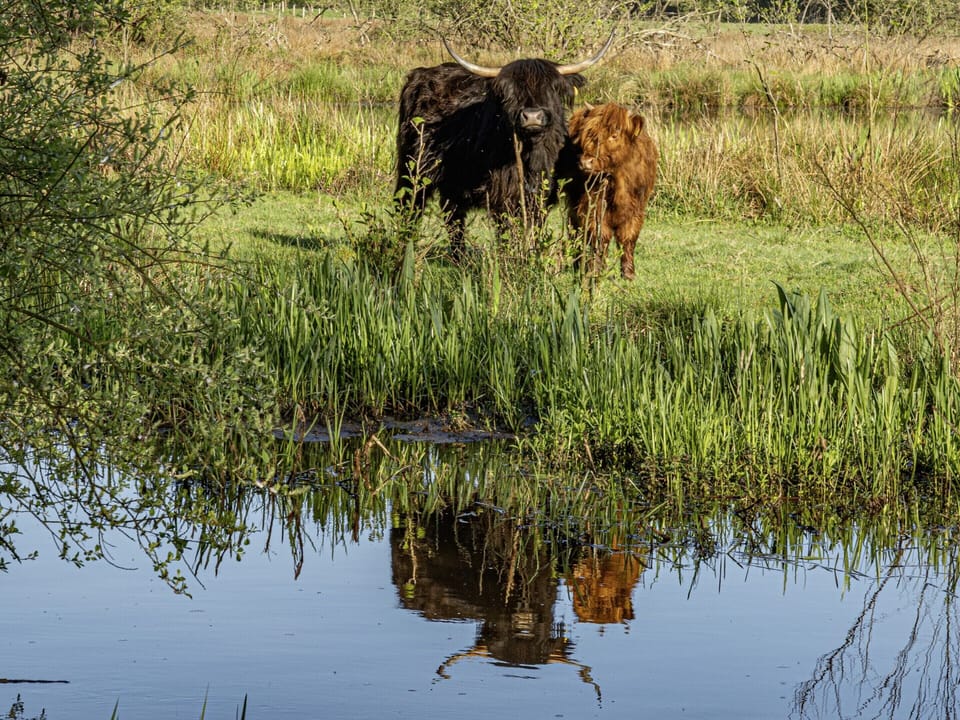 Apartment | View from property