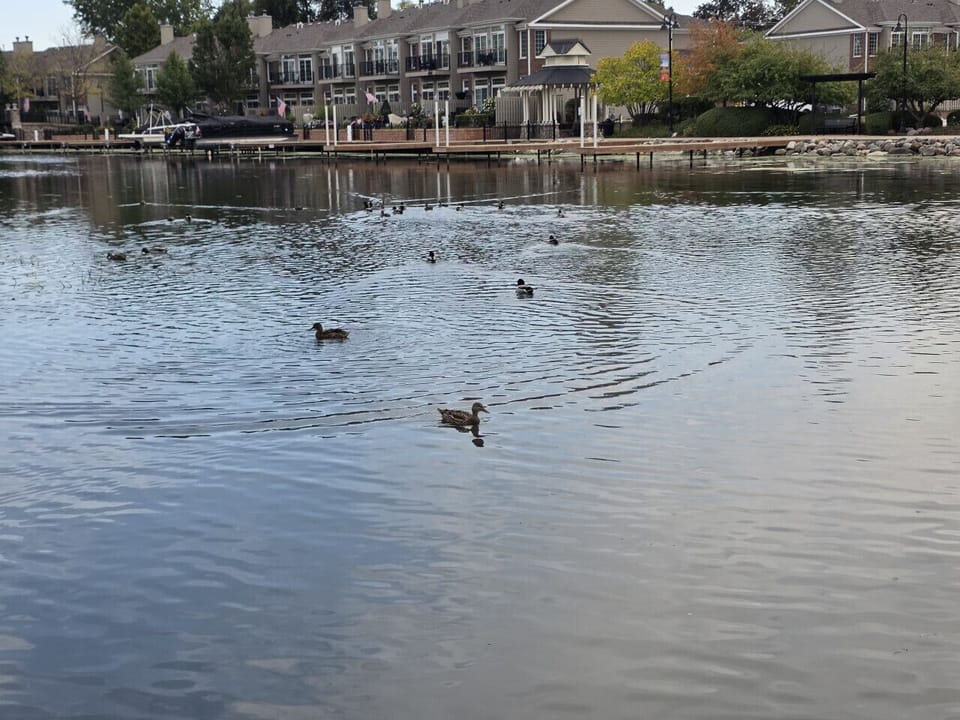 The McHenry Riverwalk views