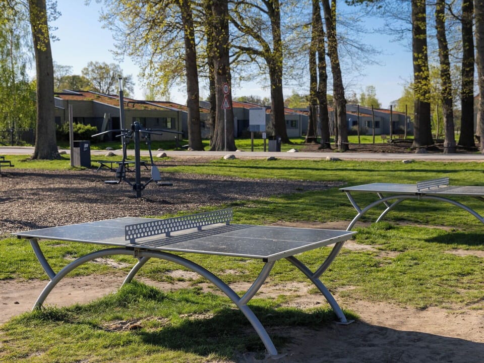 Public Space, Shade, Park, Outdoor Furniture, Lawn, Outdoor Bench, Bench, Landscaping, Outdoor Table