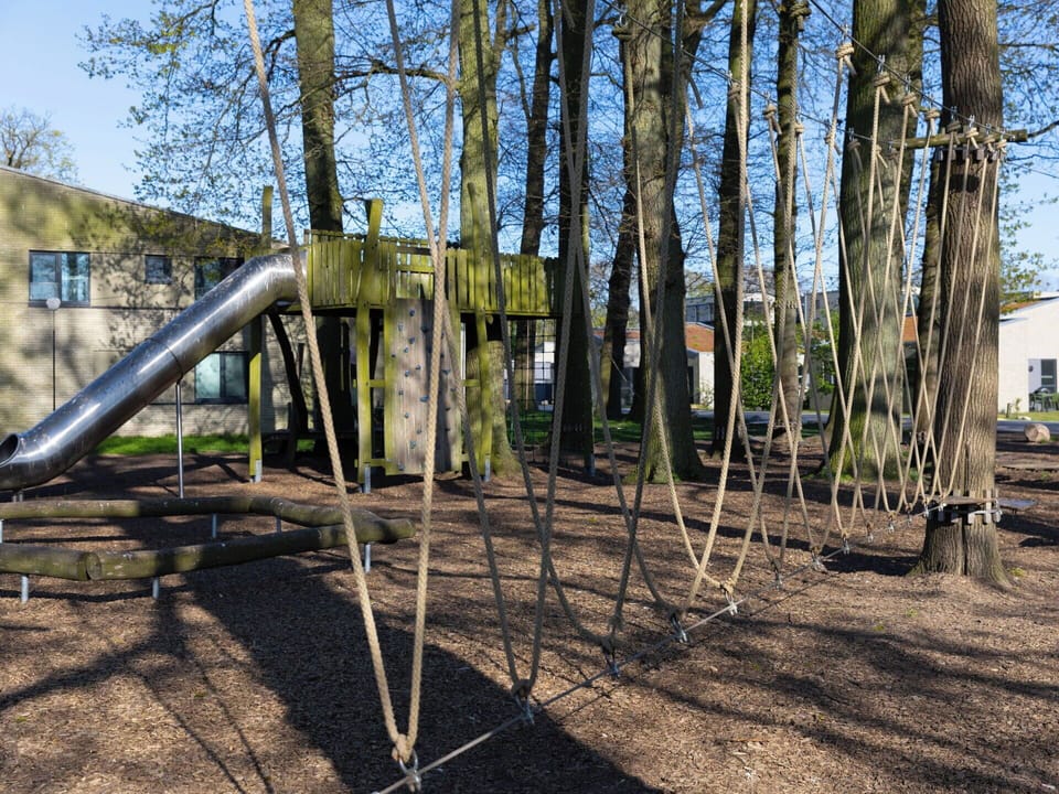Playground Slide, Tree, Outdoor Play Equipment, Public Space, Chute, Human Settlement, Playground, Recreation, Park, Shade