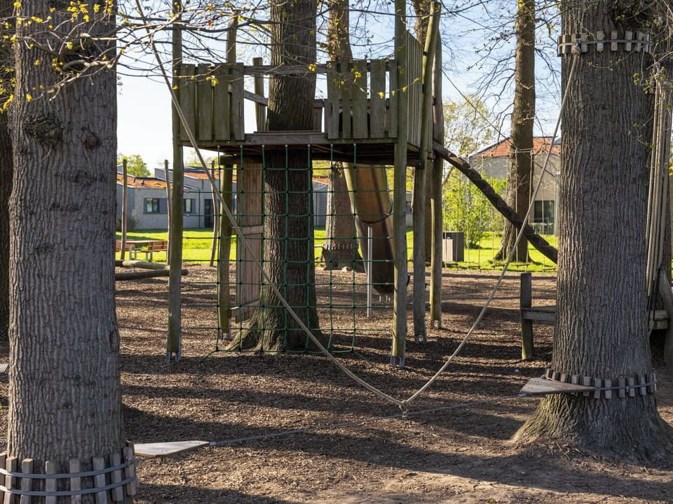 Grass, Leaf, Wood, Branch, Outdoor Play Equipment, Public Space, Human Settlement, Trunk, Playground, Shade