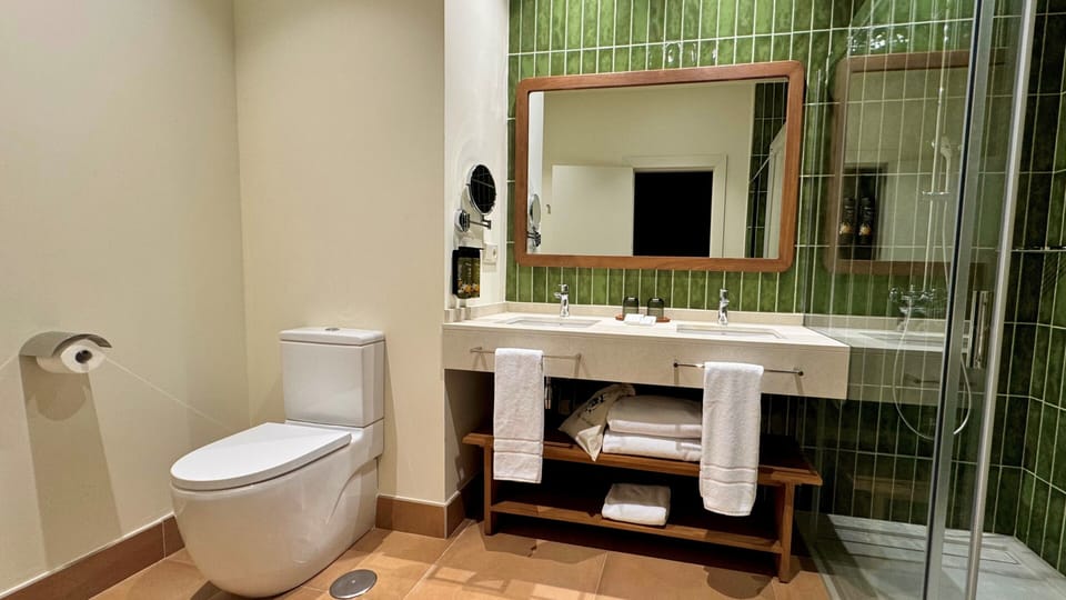 Hair dryer, soap, shampoo, toilet paper