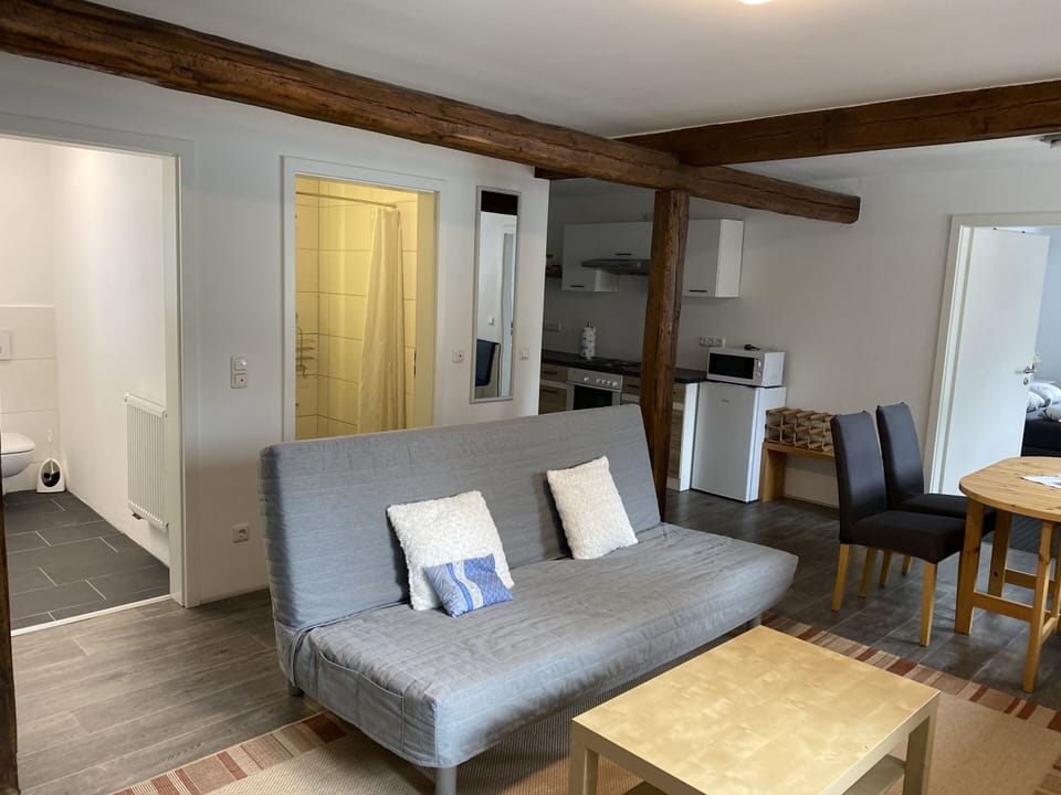 Classic Apartment, Private Bathroom, Mountain View | Lounge
