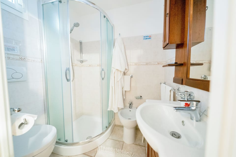 Rainfall showerhead, hair dryer, bidet, towels