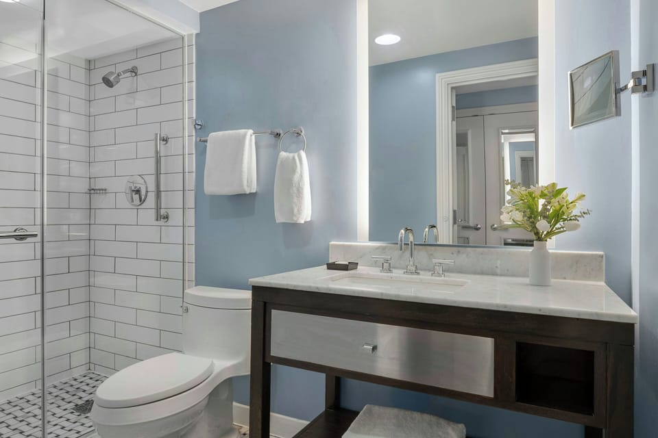 Combined shower/tub, free toiletries, hair dryer, towels