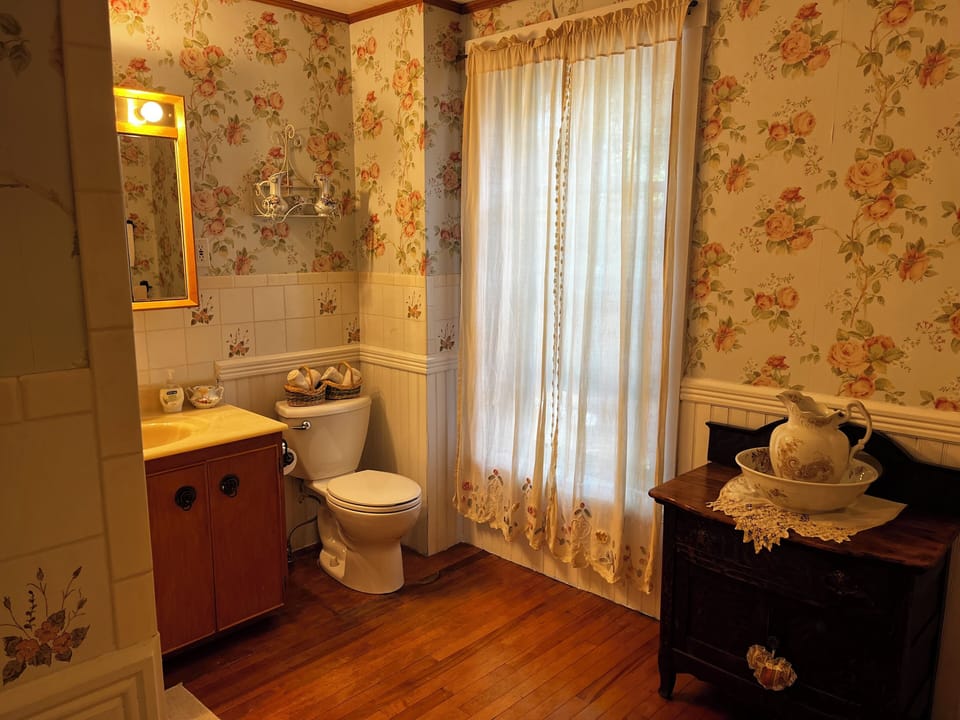 Combined shower/tub, free toiletries, hair dryer, towels