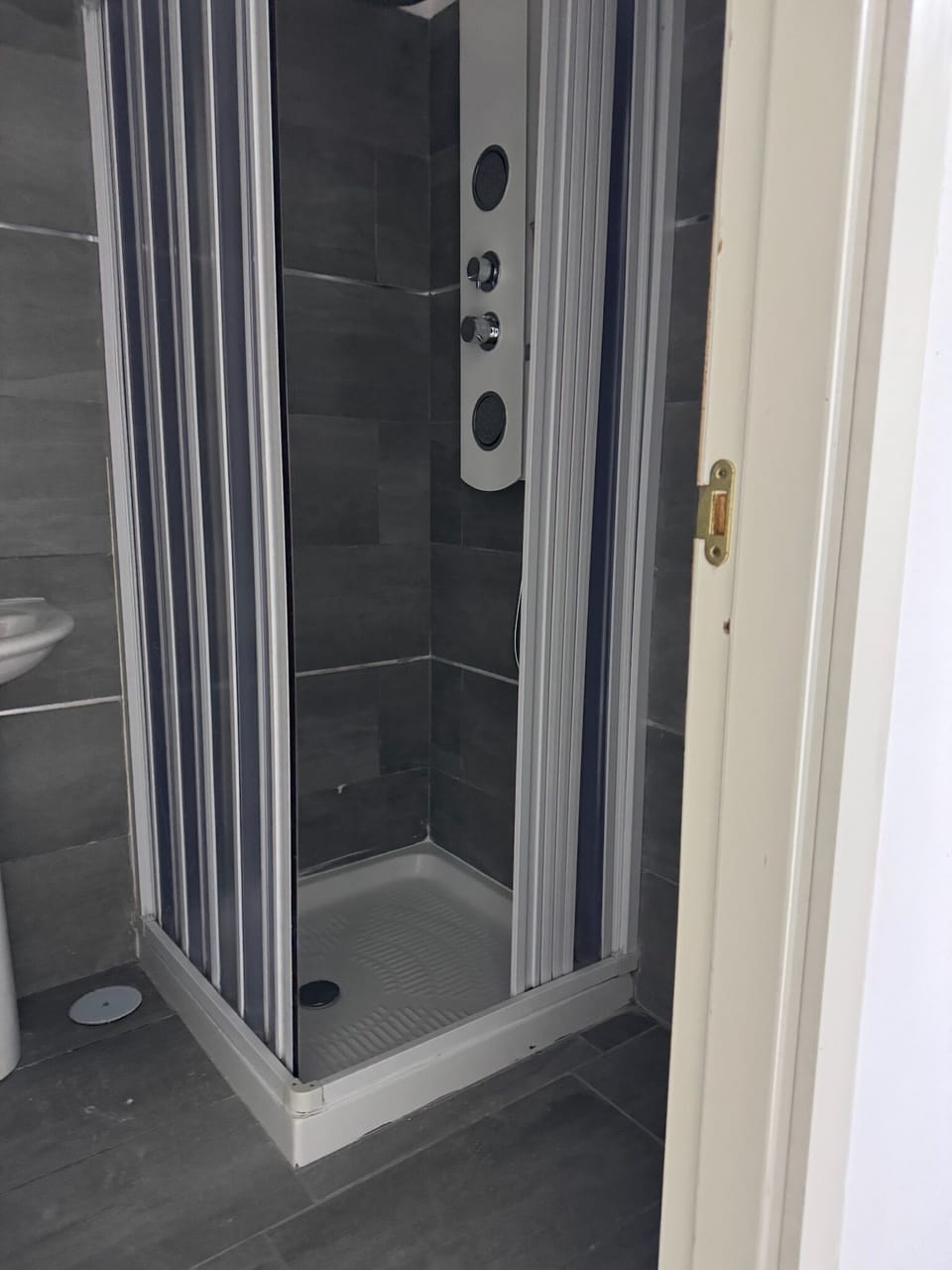 Hair dryer, bidet, towels, soap