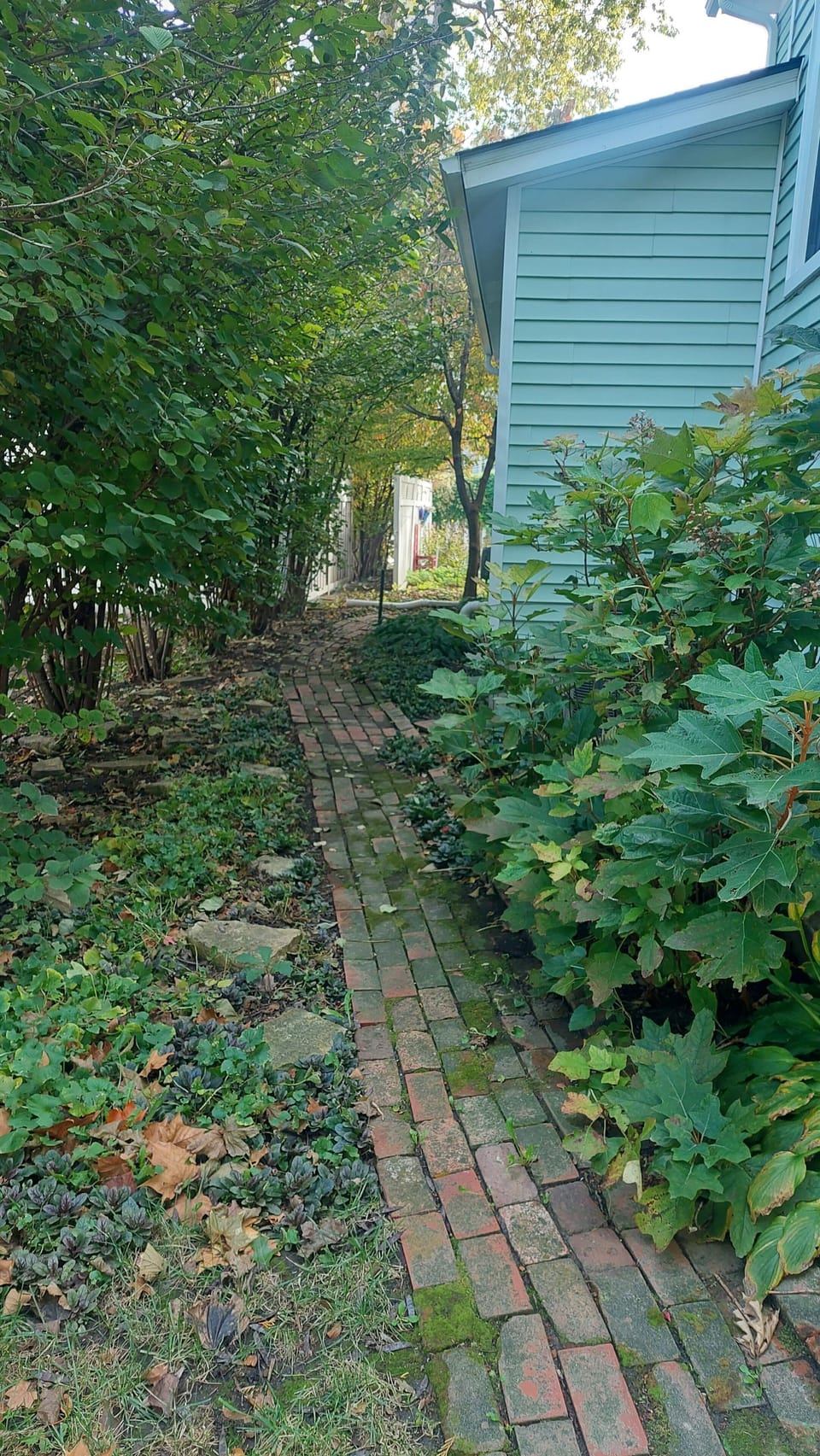 Quaint garden path from the patio to the porch