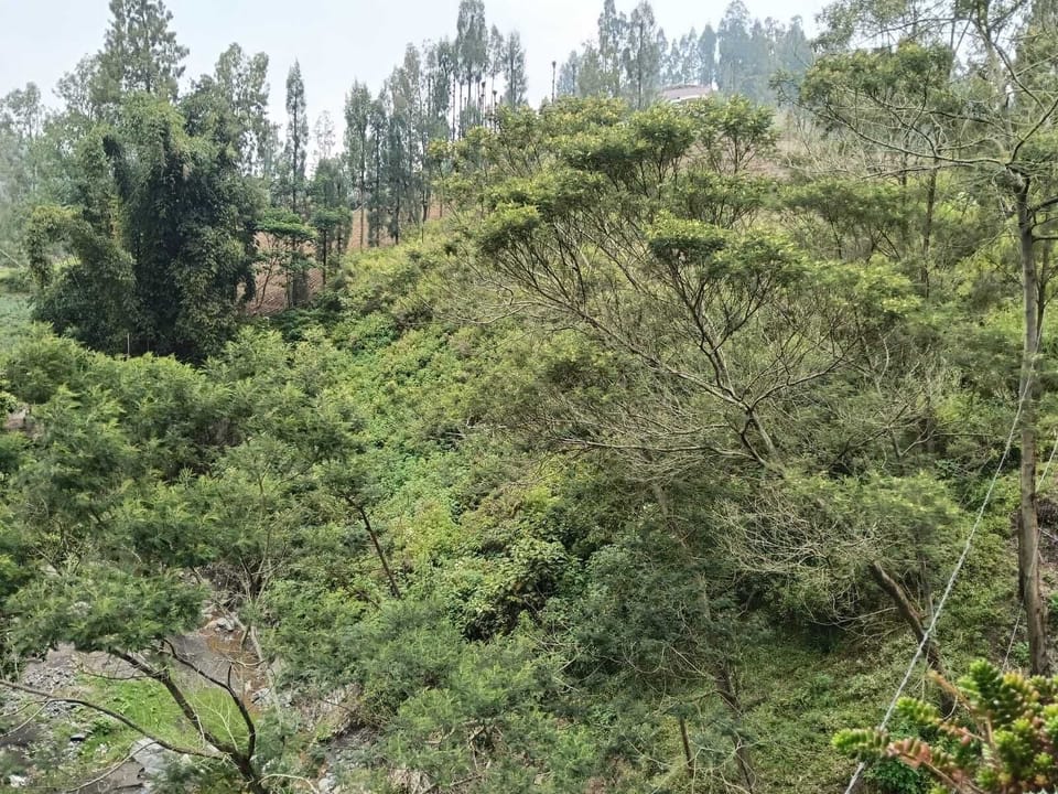View from property