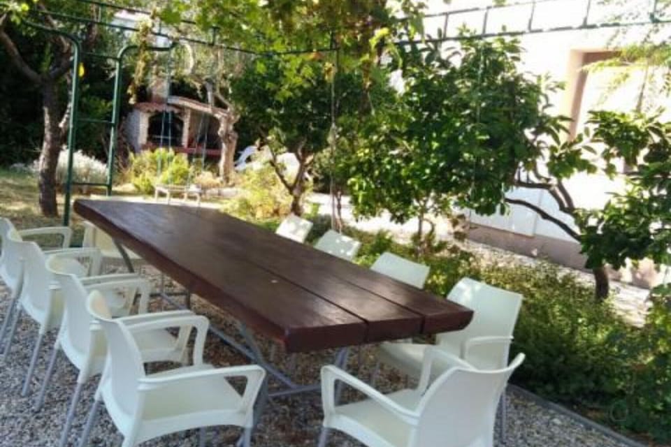 Garden [summer]