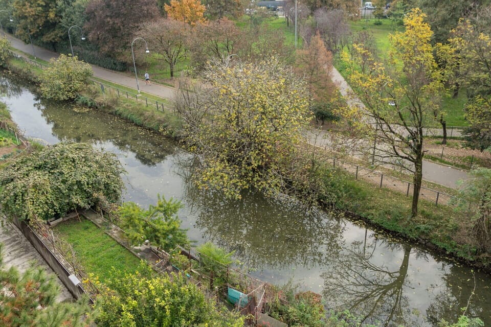 Autumn, Outdoor, Scenic View
