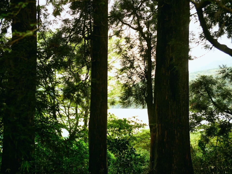 Land view from property