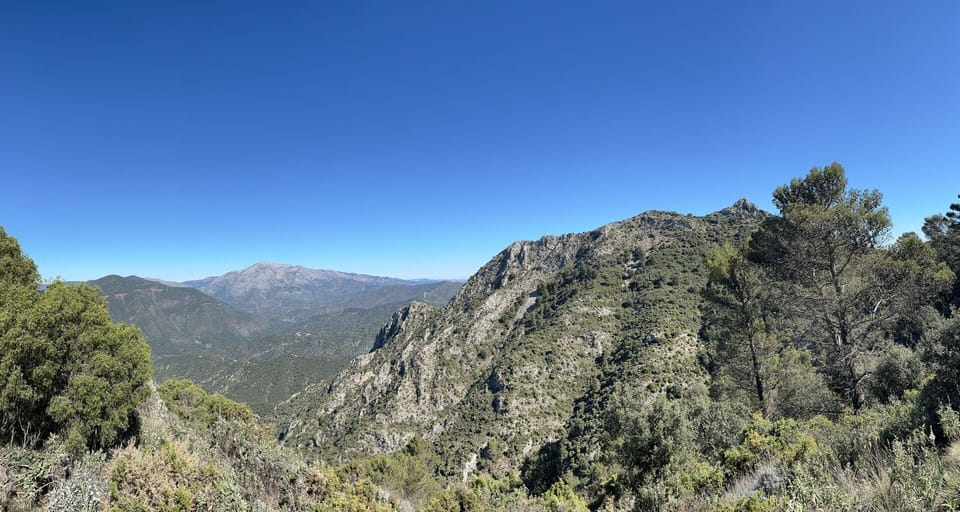 c4bcd34a7afc26b6-82094-8c907af132a9fe301750321872