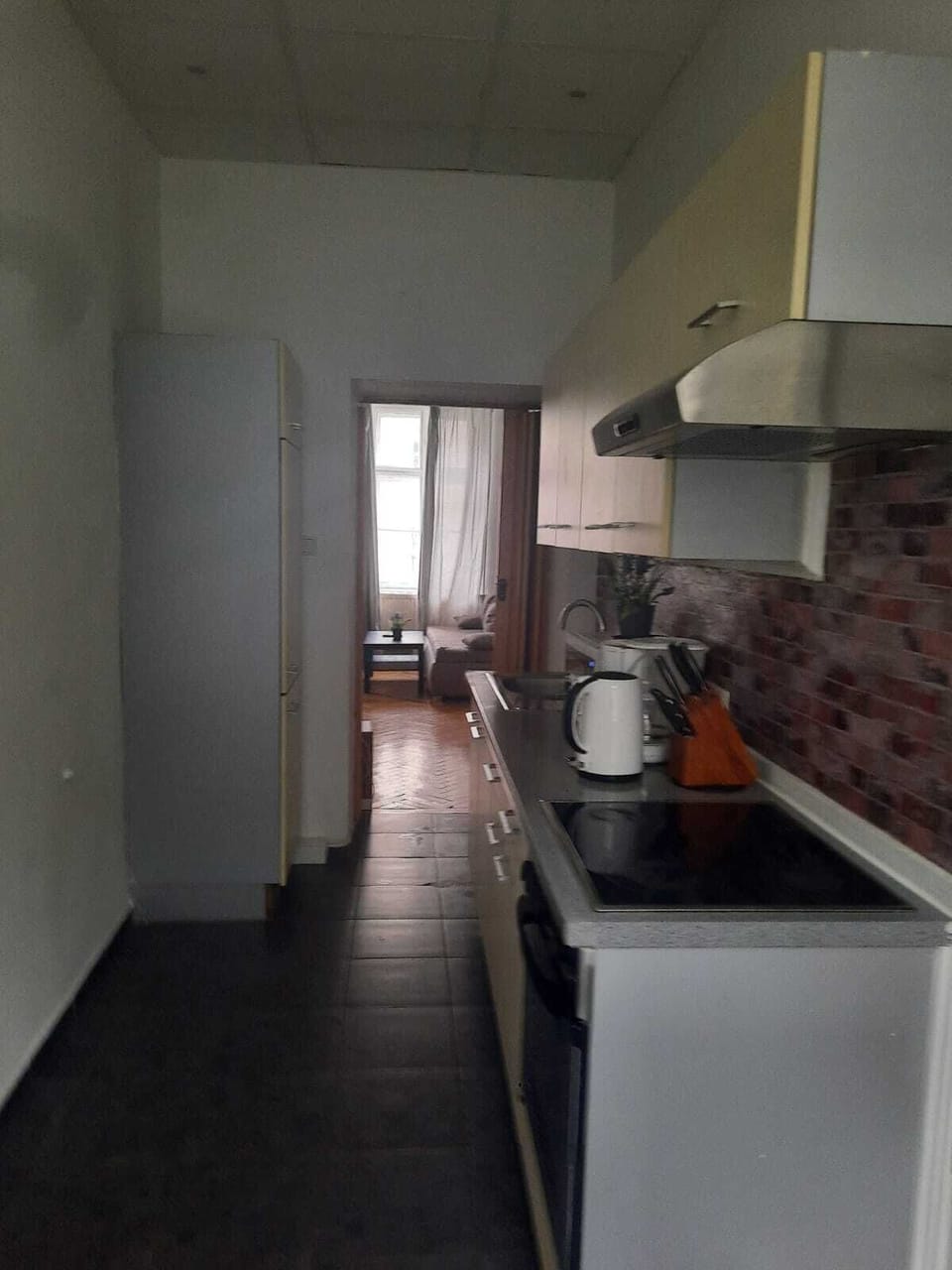 Basic Apartment | Private kitchen | Fridge, microwave, oven, stovetop