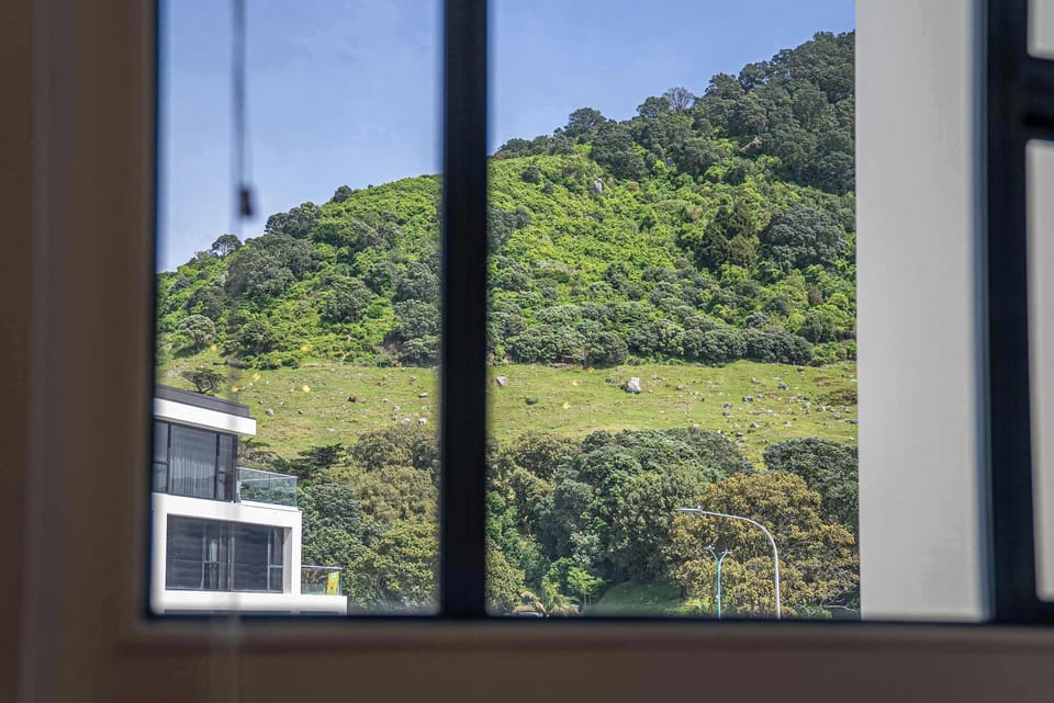 View of Mauao from apartment