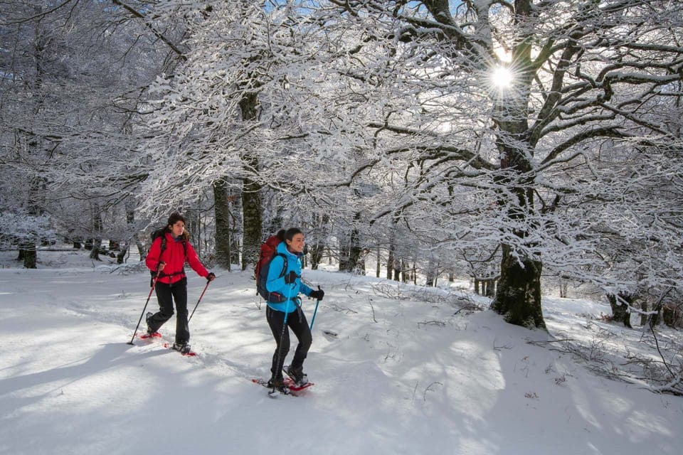Snowshoeing