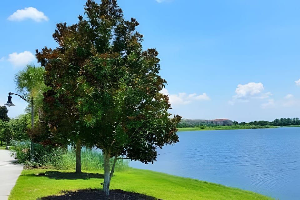 Lake view