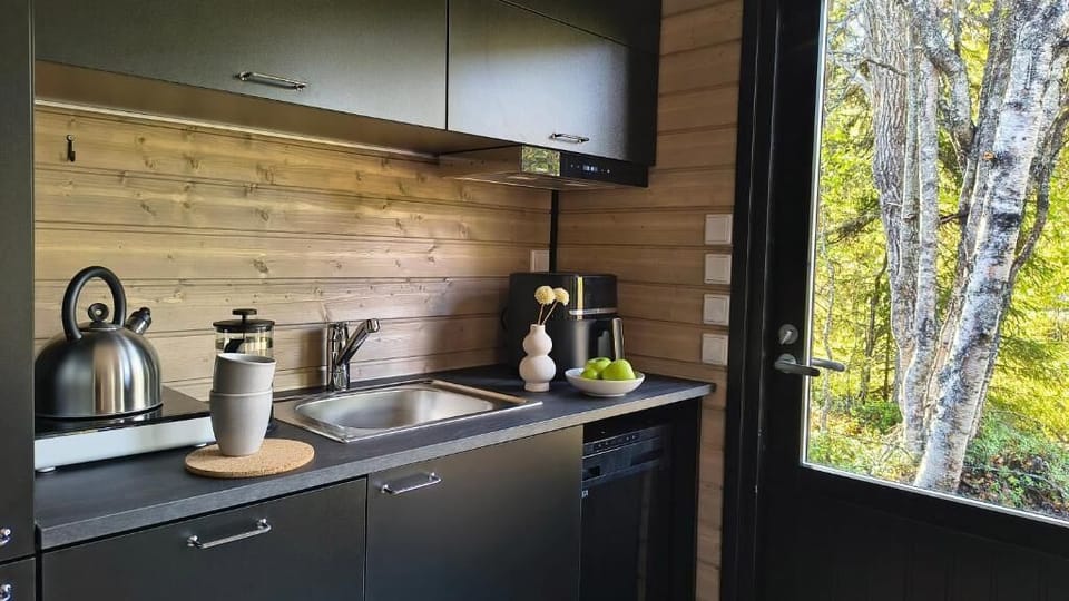 Fridge, oven, stovetop, coffee/tea maker