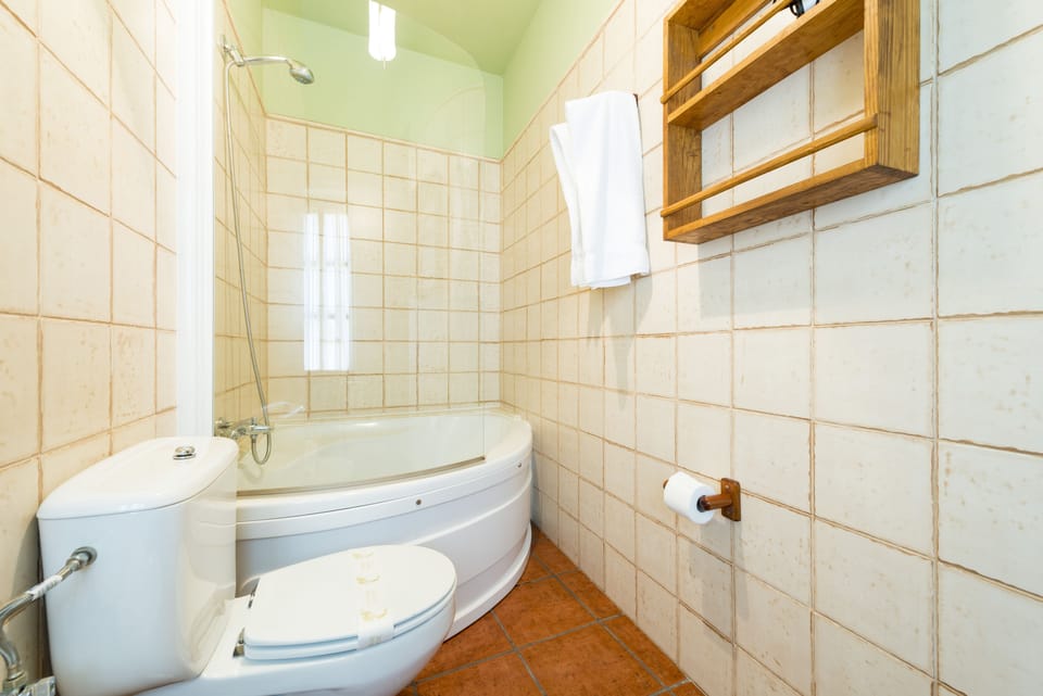 Standard Twin Room | Bathroom | Combined shower/tub, free toiletries, hair dryer, bidet