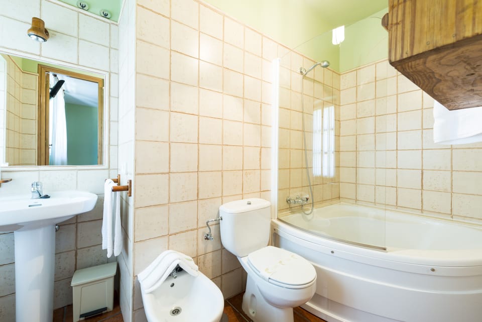 Standard Twin Room | Bathroom | Combined shower/tub, free toiletries, hair dryer, bidet