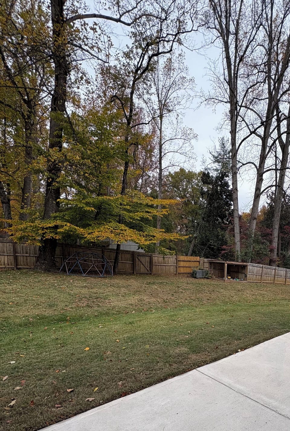 Spacious backyard & sandbox