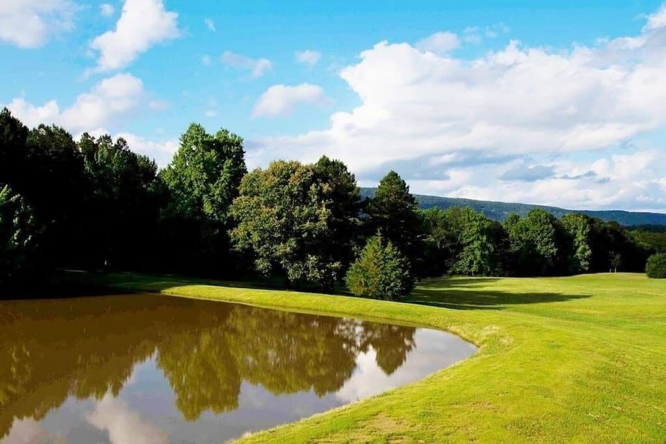 Peaceful pond views surrounded by trees and mountain scenery