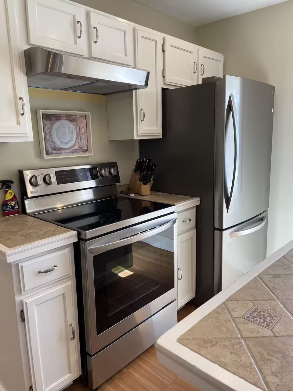 Modern stainless steel stove & fridge