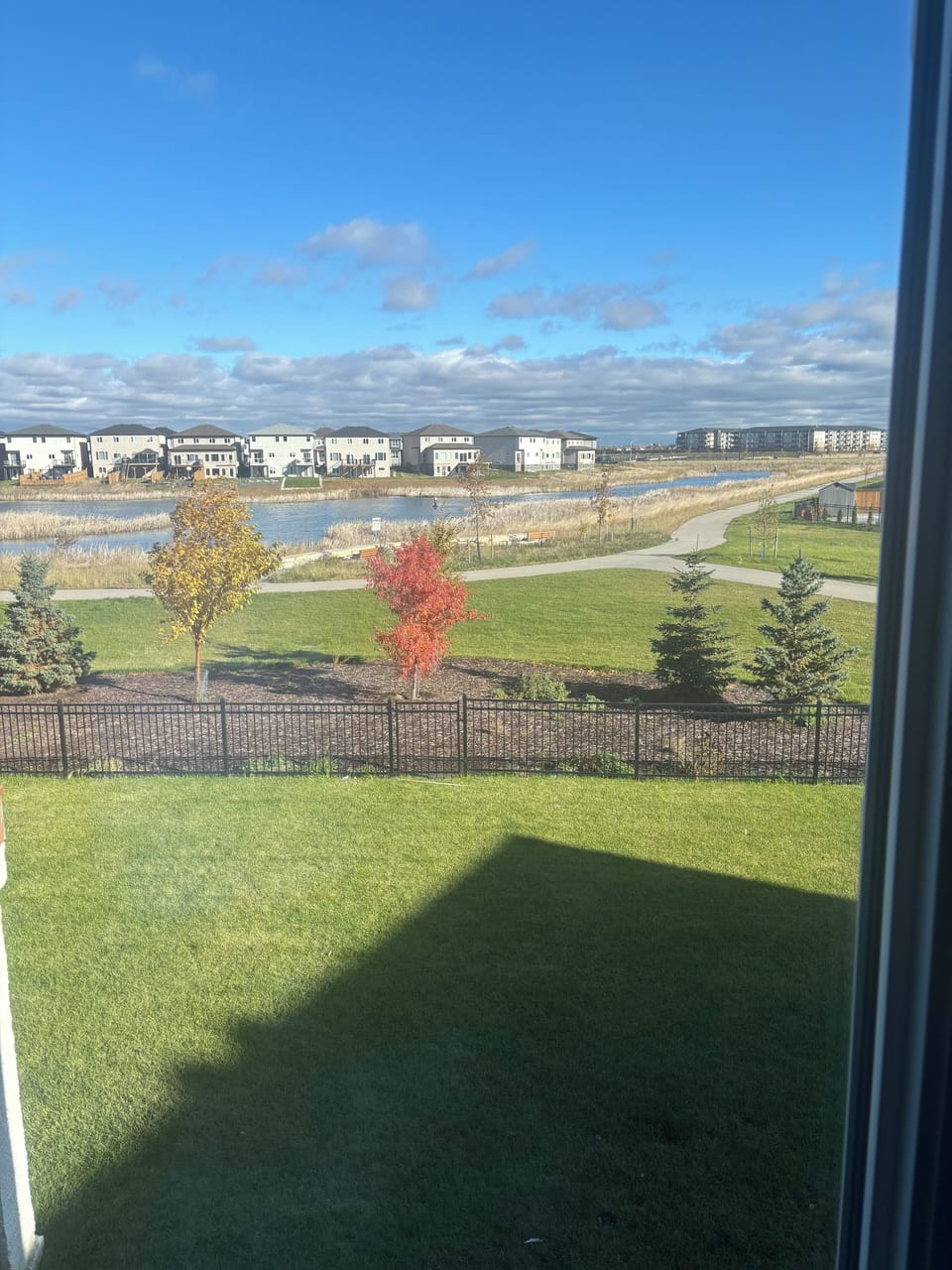 Backyard view from living room space