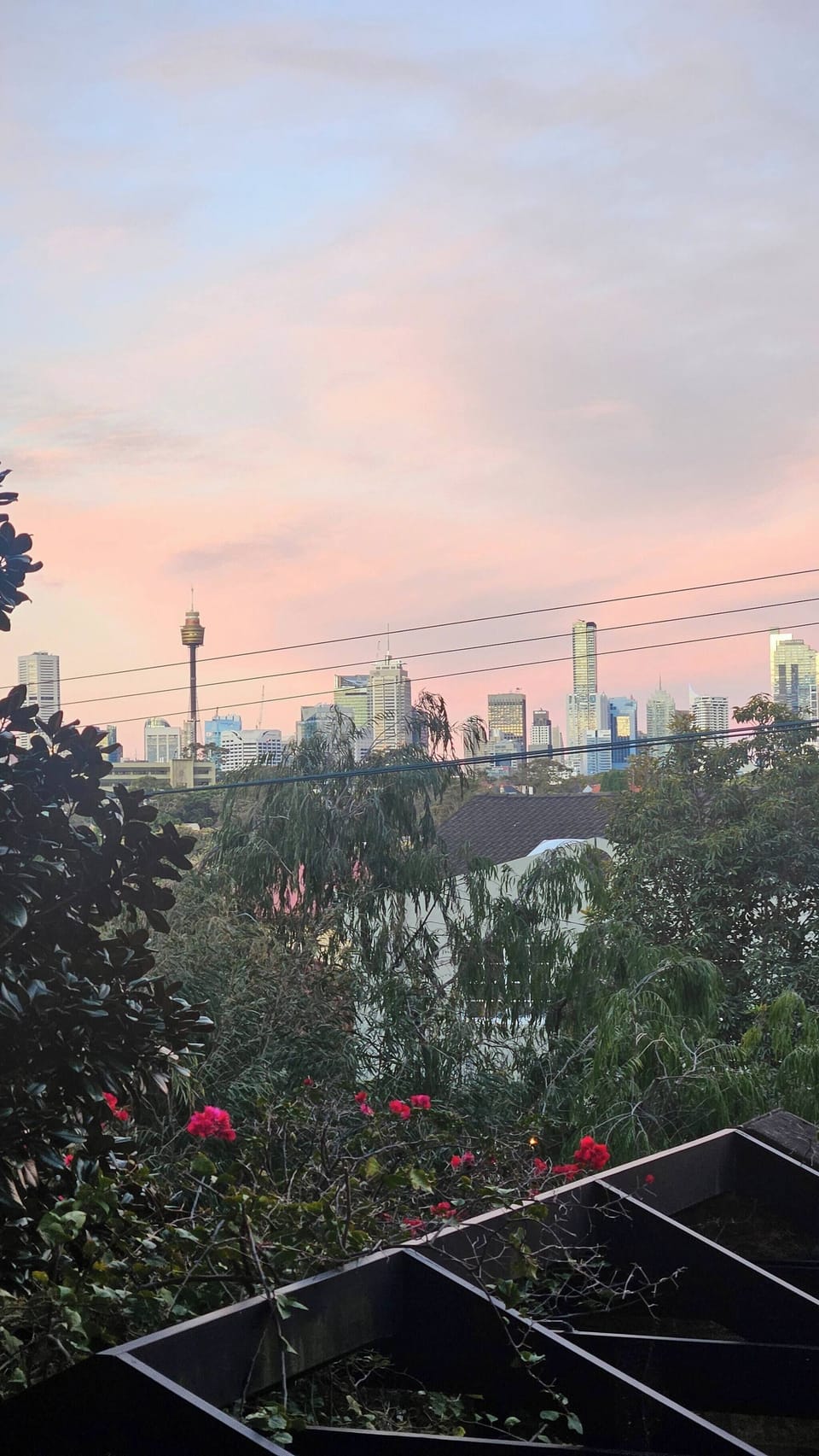 View from property