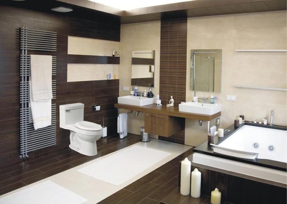 Deluxe Room | Bathroom | Free toiletries, towels, toilet paper
