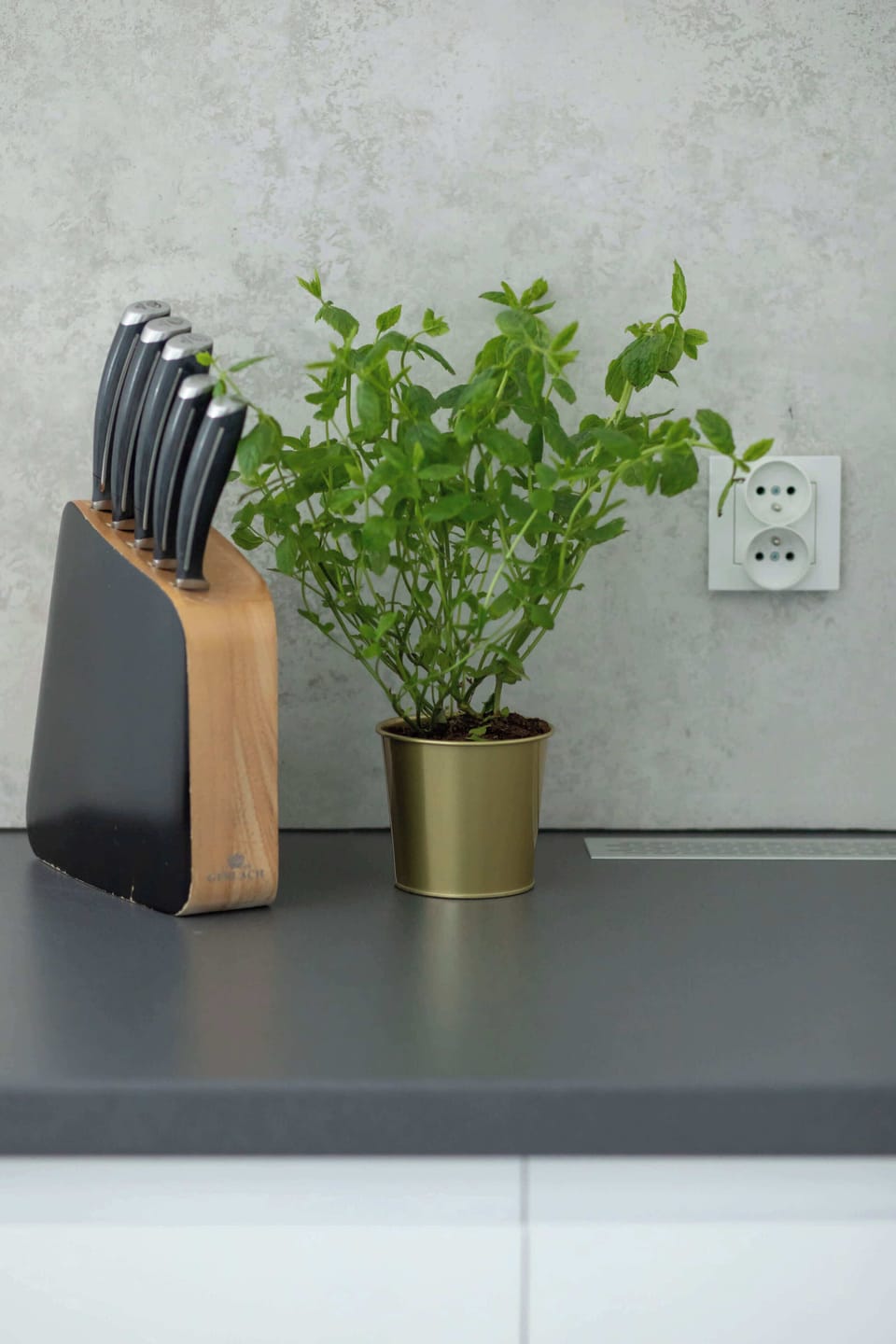 Kitchen countertop decorated with a potted plant and a wooden knife block, adding a natural accent to the space.
