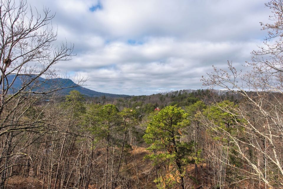 Views from Pine Haven Cabin's relaxing deck