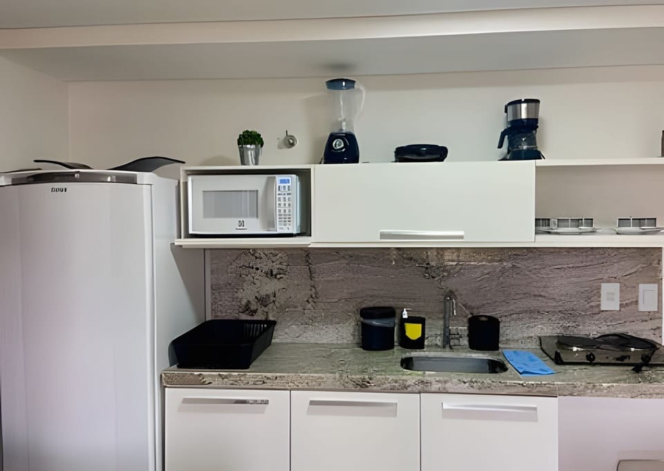 Basic Apartment | Private kitchen | Microwave, stovetop, cookware/dishes/utensils