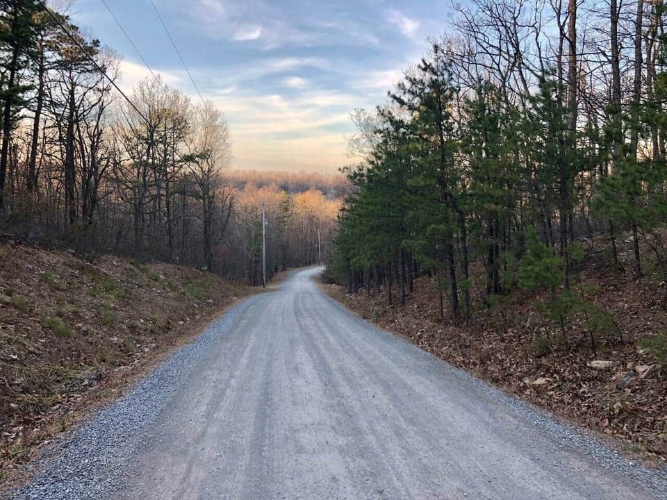 Our street is a lovely place for an evening stroll. 