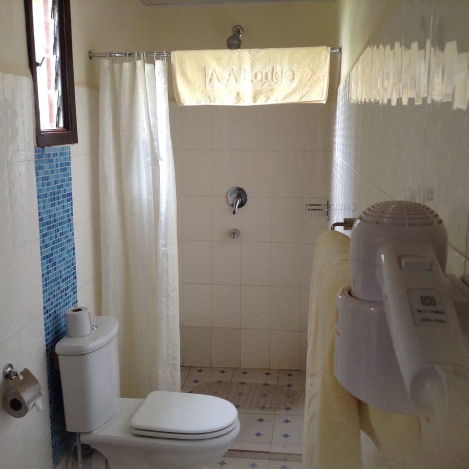 Shower, free toiletries, hair dryer, bathrobes