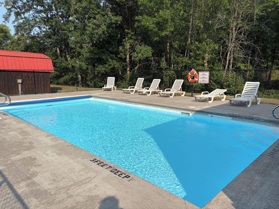 Sunny outdoor pool with lounge chairs in a peaceful, tree-lined setting