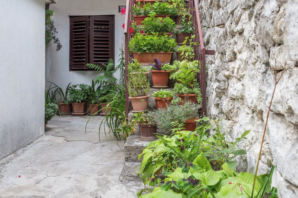 Exterior of the house