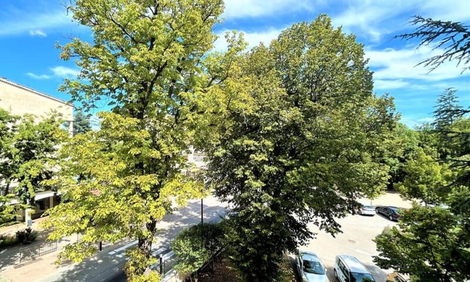 Apartment | Property grounds