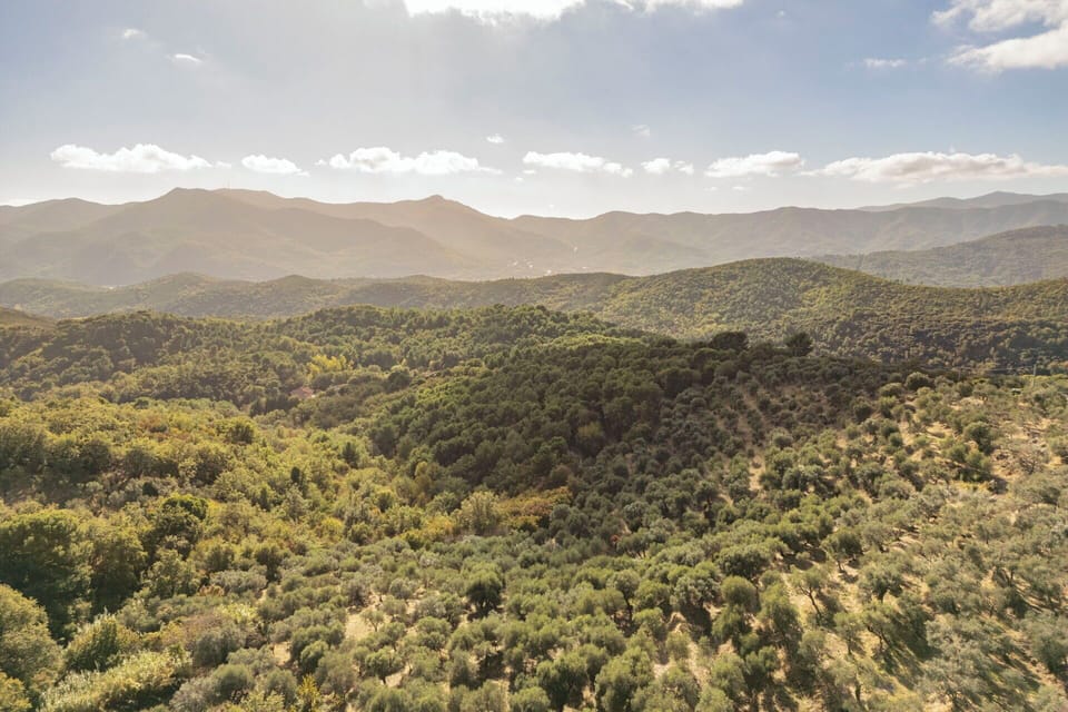 Autumn, Scenic View, Spring, Summer