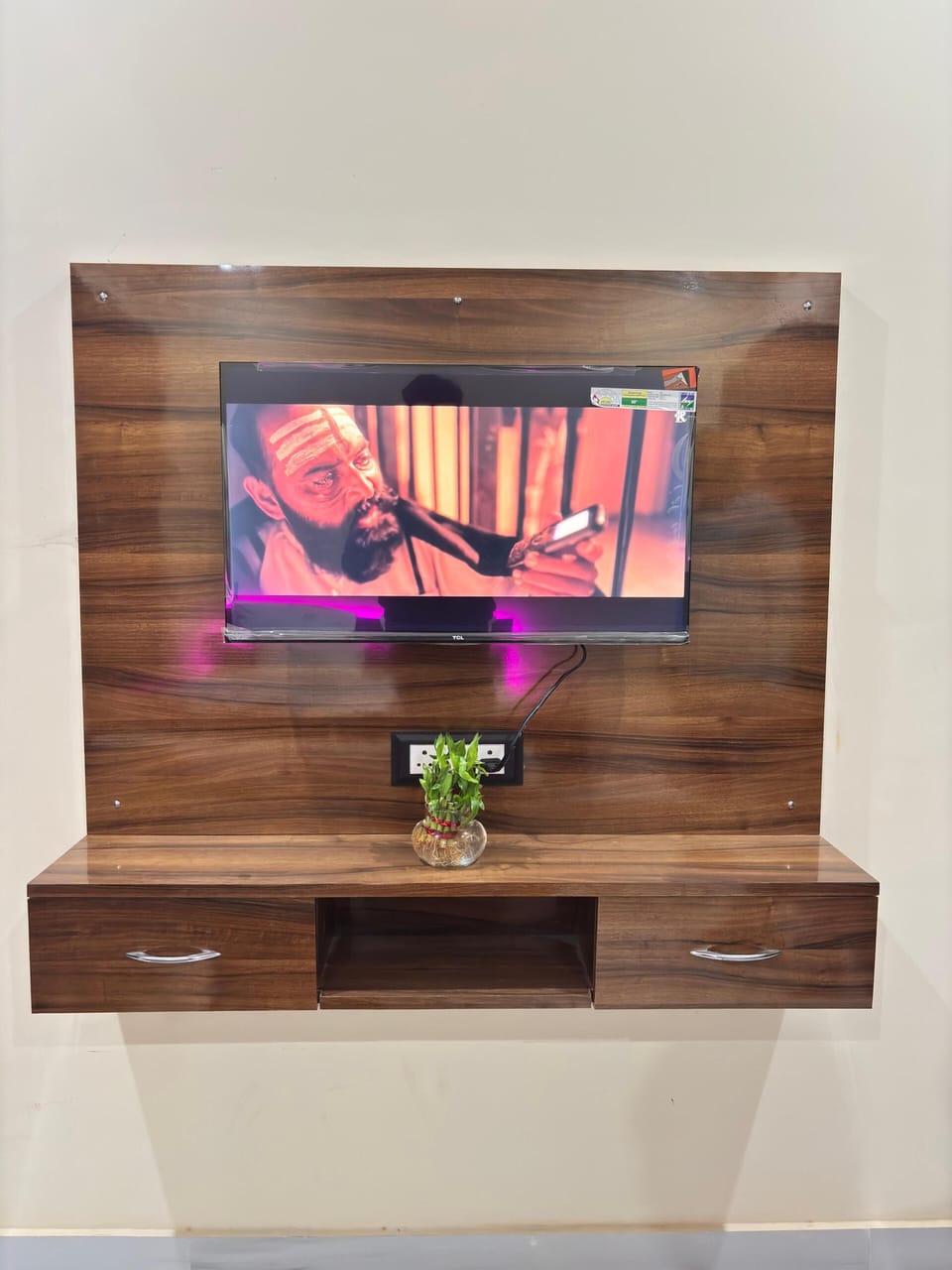 Television