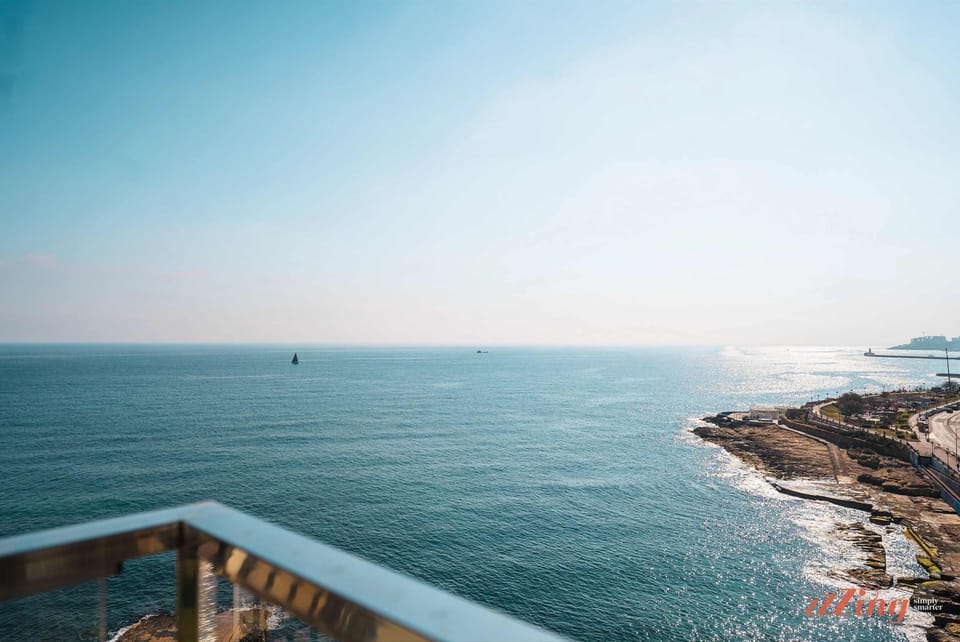 The View from the Terrace