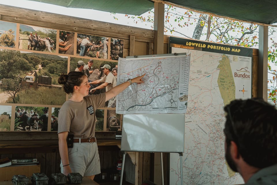 Safari