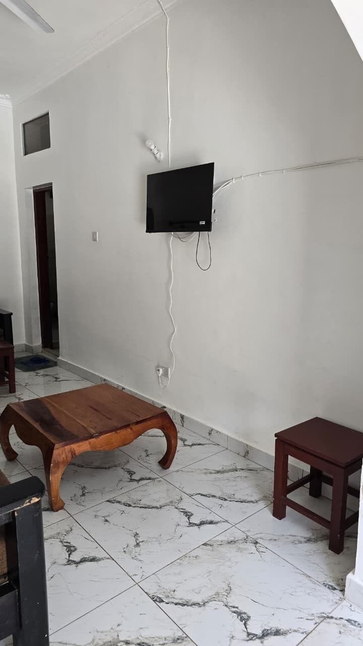 Television
